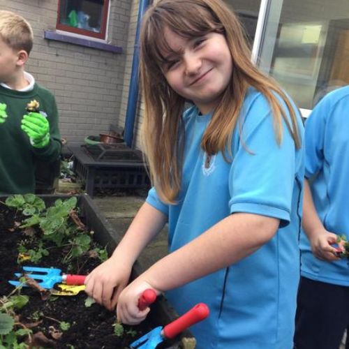 Our ECO Committee enjoy working with our gardener in the school garden every Monday afternoon