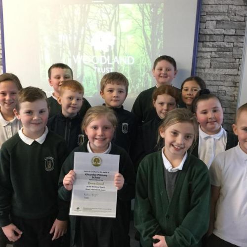 We have achieved the Bronze Woodland Trust Green Tree Award!