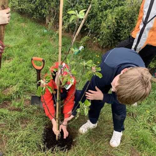 We were delighted to receive funding from Danske Bank to allow us to work with Live Here, Love Here to create our biodiverse garden and outdoor learning area.